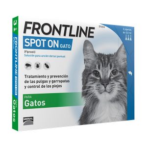 Salud y Medicamentos para gatos